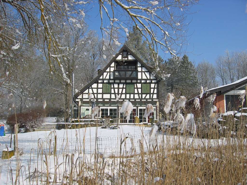 Landhotel Alte Muehle Ehningen Bagian luar foto